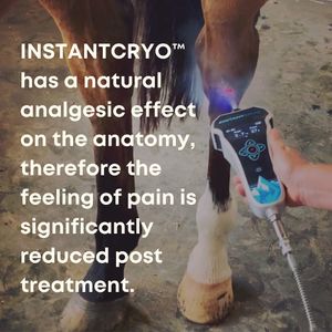 Image post by @gundyparkequine on Instagram