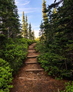 Image post by @nationalparkservice on Instagram
