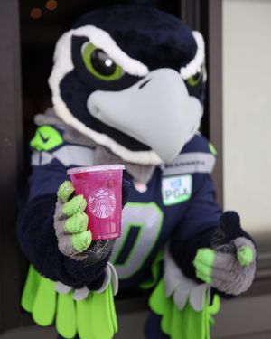Image post by @blitztheseahawk on Instagram