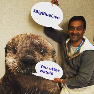 Image post by @kqed on Instagram