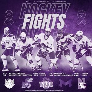 Image post by @washuhockey on Instagram