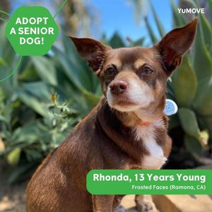 Image post by @YuMOVE.US on Facebook