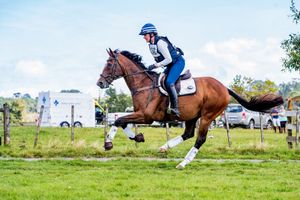 Image post by @NZHorseAmbulanceTrust on Facebook