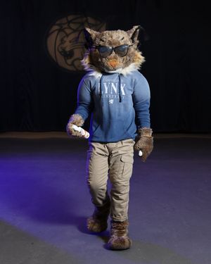 Image post by @lynxprowl on Instagram