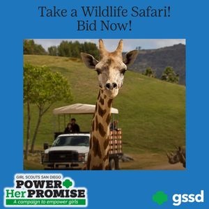 Image post by @sdgirlscouts on Instagram
