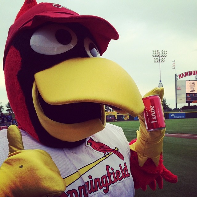 Image post by @springfield_cardinals on Instagram