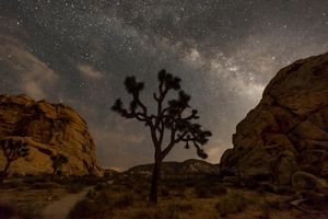 Image post by @nationalparkservice on Instagram