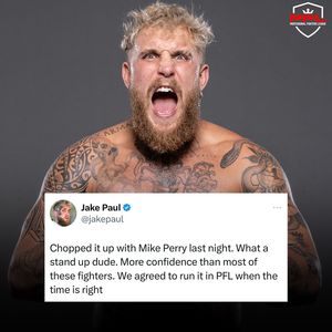Image post by @pflmma on Instagram