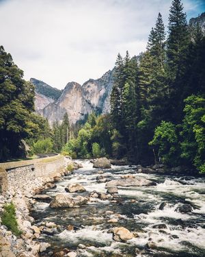 Image post by @_matthewcletus on Instagram