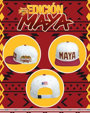 Image post by @indiosmayaguezlbprc on Instagram