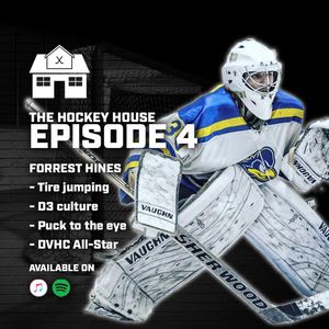 Image post by @hockeyhousepod on Instagram