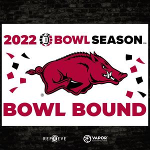 Image post by @bowlseason on Instagram