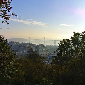 Image post by @onlyinsf on Instagram