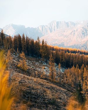 Image post by @moment on Instagram