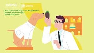 Video post by @lintbells on YouTube