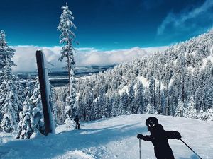 Image post by @nauflagstaff on Instagram