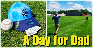 Image post by @burlington_bees on Instagram