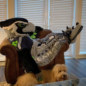 Image post by @blitztheseahawk on Instagram