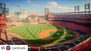 Image post by @springfield_cardinals on Instagram