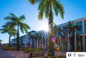 Image post by @fgcu_xc on Instagram