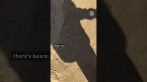 Video post by @nowthisnews on YouTube