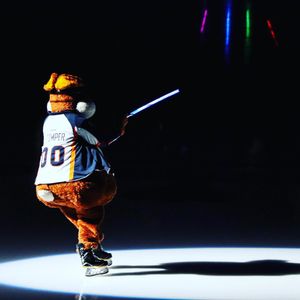 Image post by @swamprabbits on Instagram