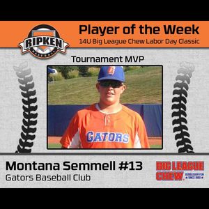 Image post by @bigleaguechewgum on Instagram