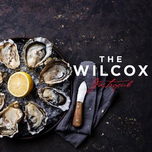Image post by @thewilcox on Instagram