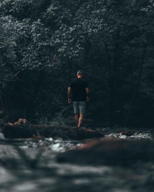 Image post by @tielerfriedline on Instagram