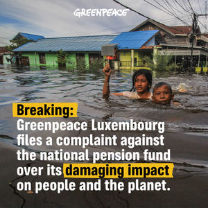 Image post by @greenpeace on Instagram