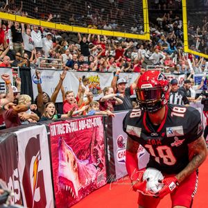 Image post by @jaxsharks on Instagram