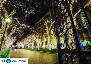 Image post by @culionsmbb on Instagram