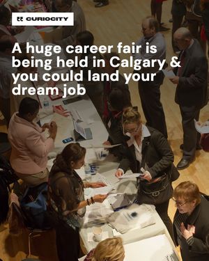 Image post by @curiocitycalgary on Instagram