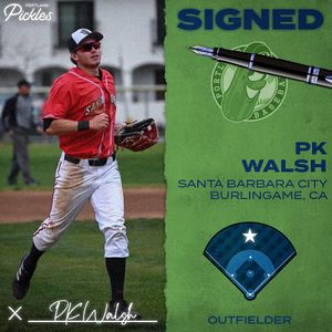 Image post by @picklesbaseball on Instagram