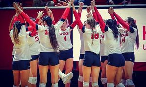 Image post by @utahvolleyball on Instagram