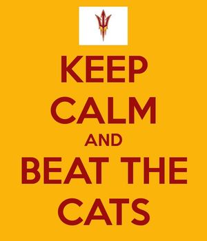 Image post by @sundevilwgolf on Instagram
