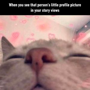 Image post by @9gag on Instagram