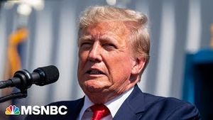 Video post by @msnbc on YouTube