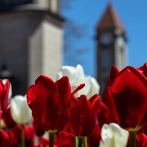 Image post by @iubloomington on Instagram
