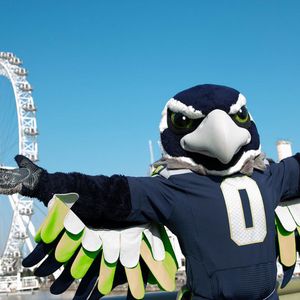 Image post by @blitztheseahawk on Instagram