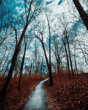 Image post by @jackportunephotography on Instagram