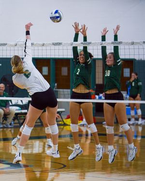 Image post by @binghamtonvb on Instagram