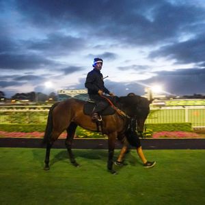 Image post by @australianturfclub on Instagram