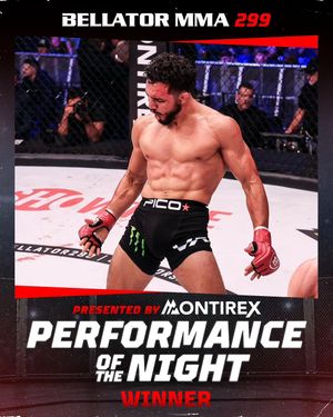 Image post by @bellatormma on Instagram