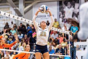 Image post by @gtvolleyball on Instagram