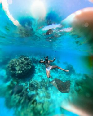 Image post by @iammiketodd on Instagram