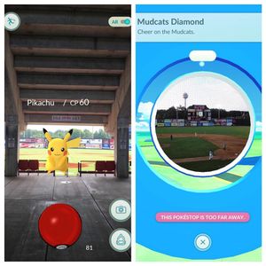 Image post by @carolinamudcats on Instagram