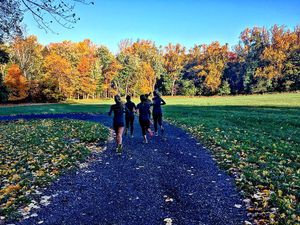 Image post by @hofstratrackxc on Instagram