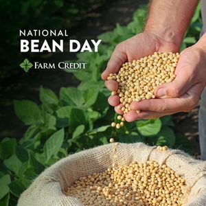 Image post by @farmcredit on Instagram