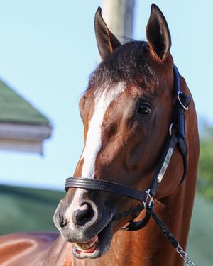 Image post by @kentuckyderby on Instagram